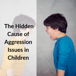 The Hidden Cause of Aggression in Children
