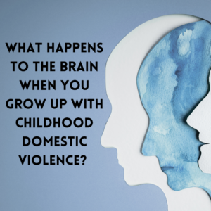 What Happens to the Brain when you grow up with Childhood Domestic Violence?