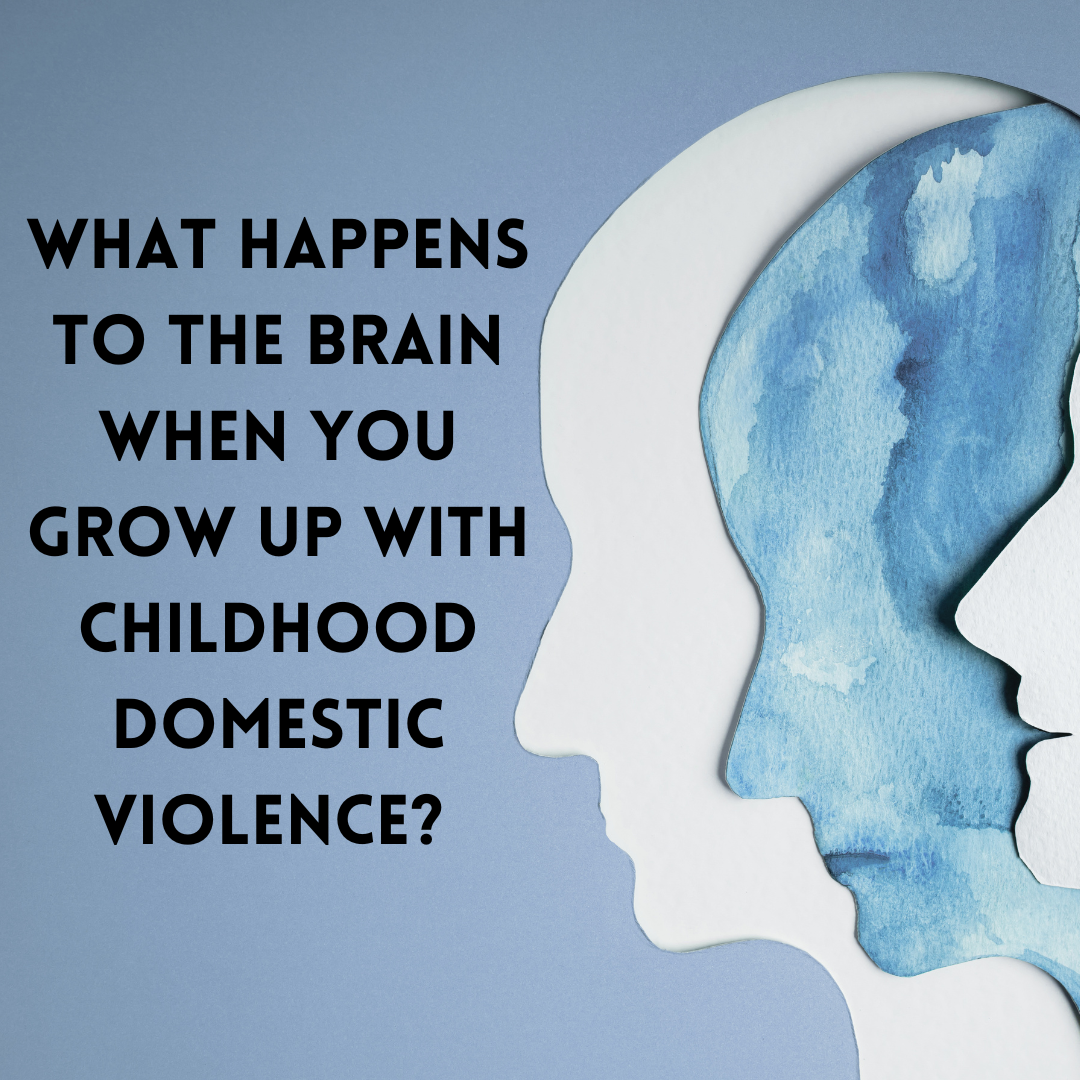 brain and domestic violence